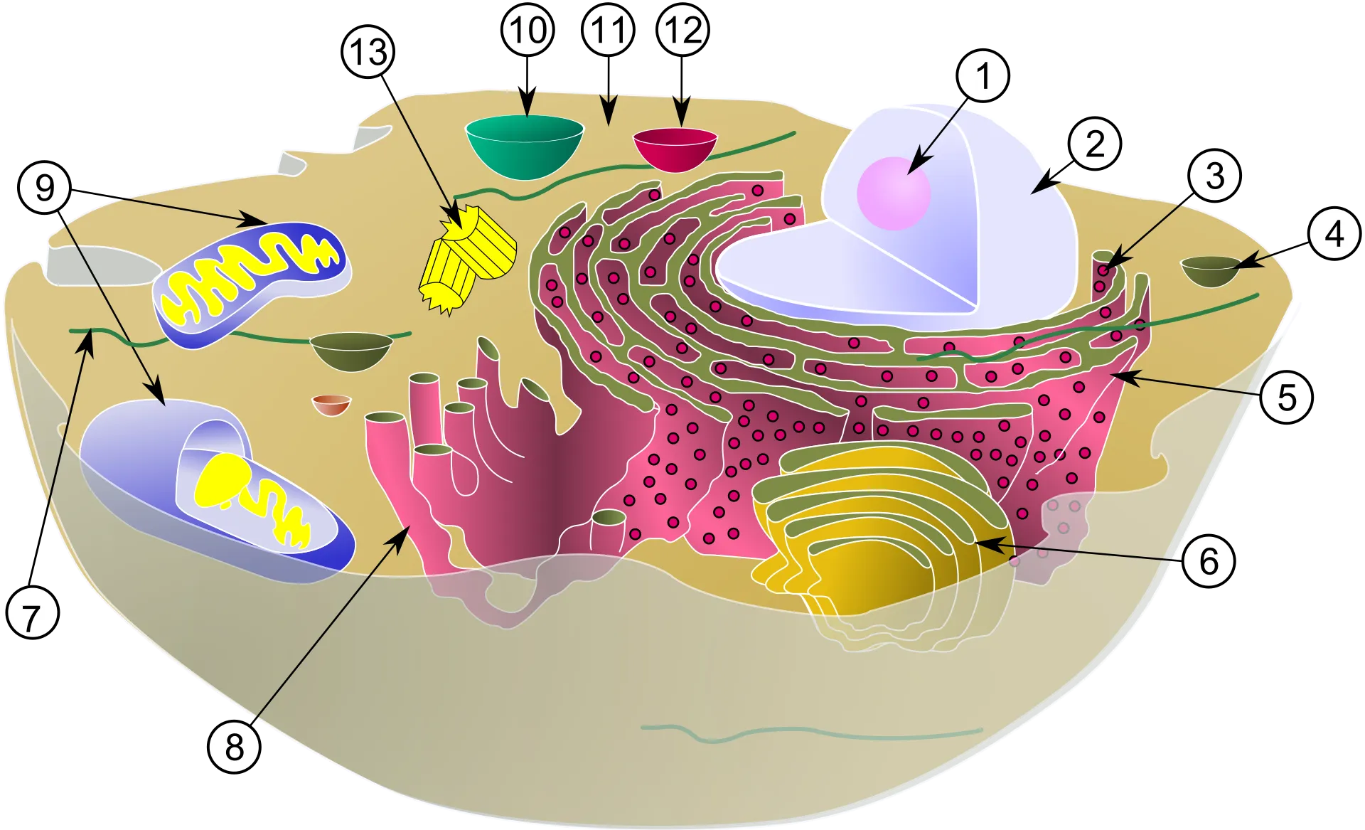 Avdjurcell